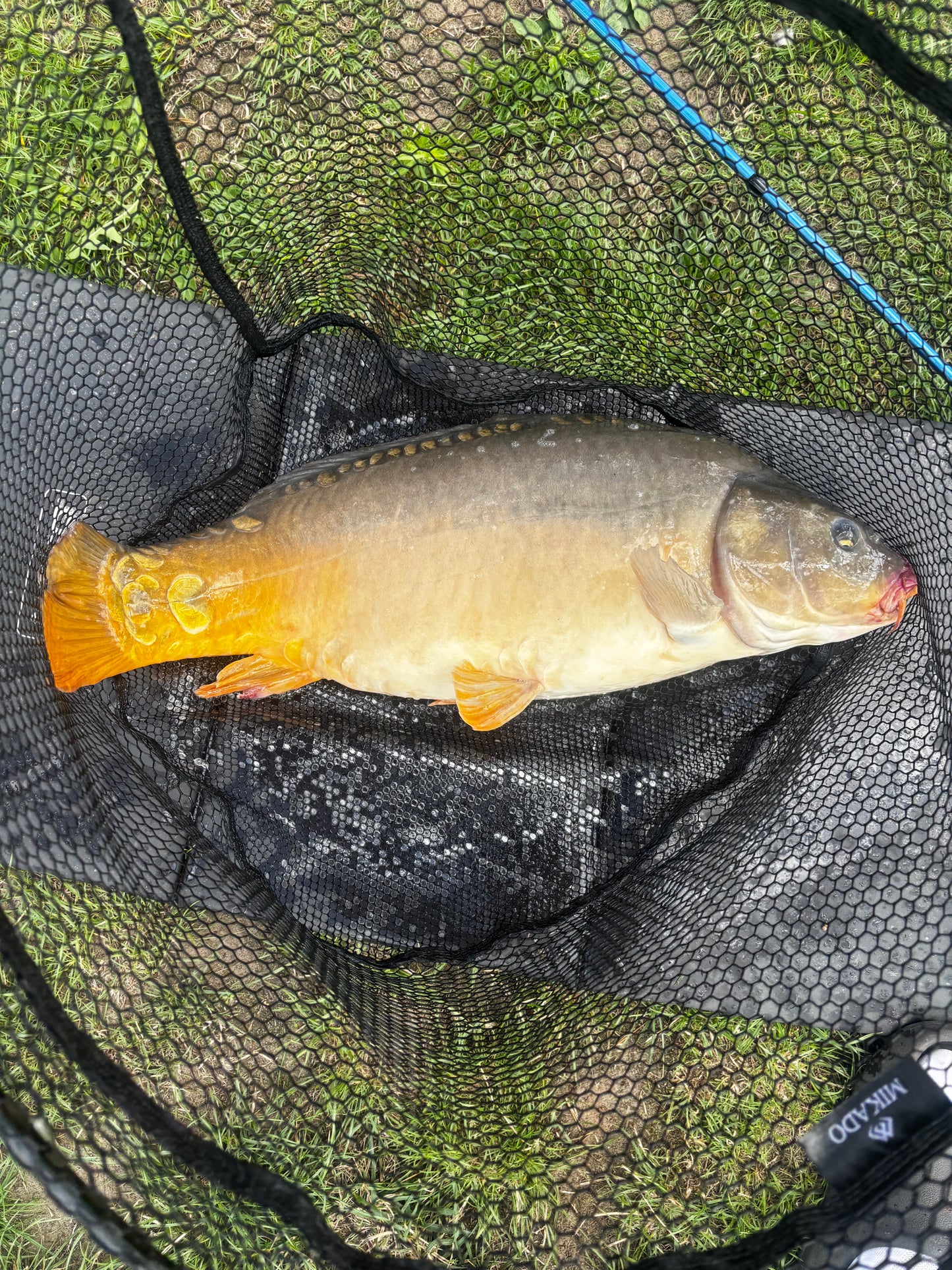 🎁 METHOD CARP – MYSTERY BOX